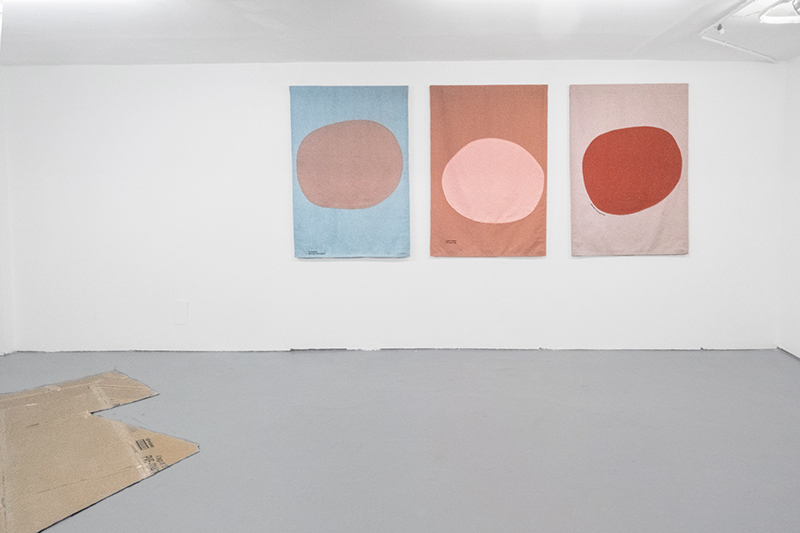 installation view