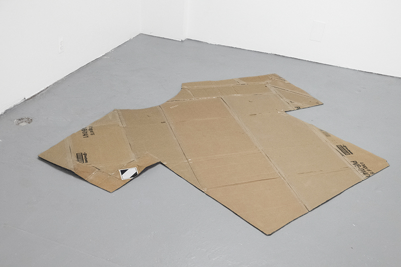 installation view